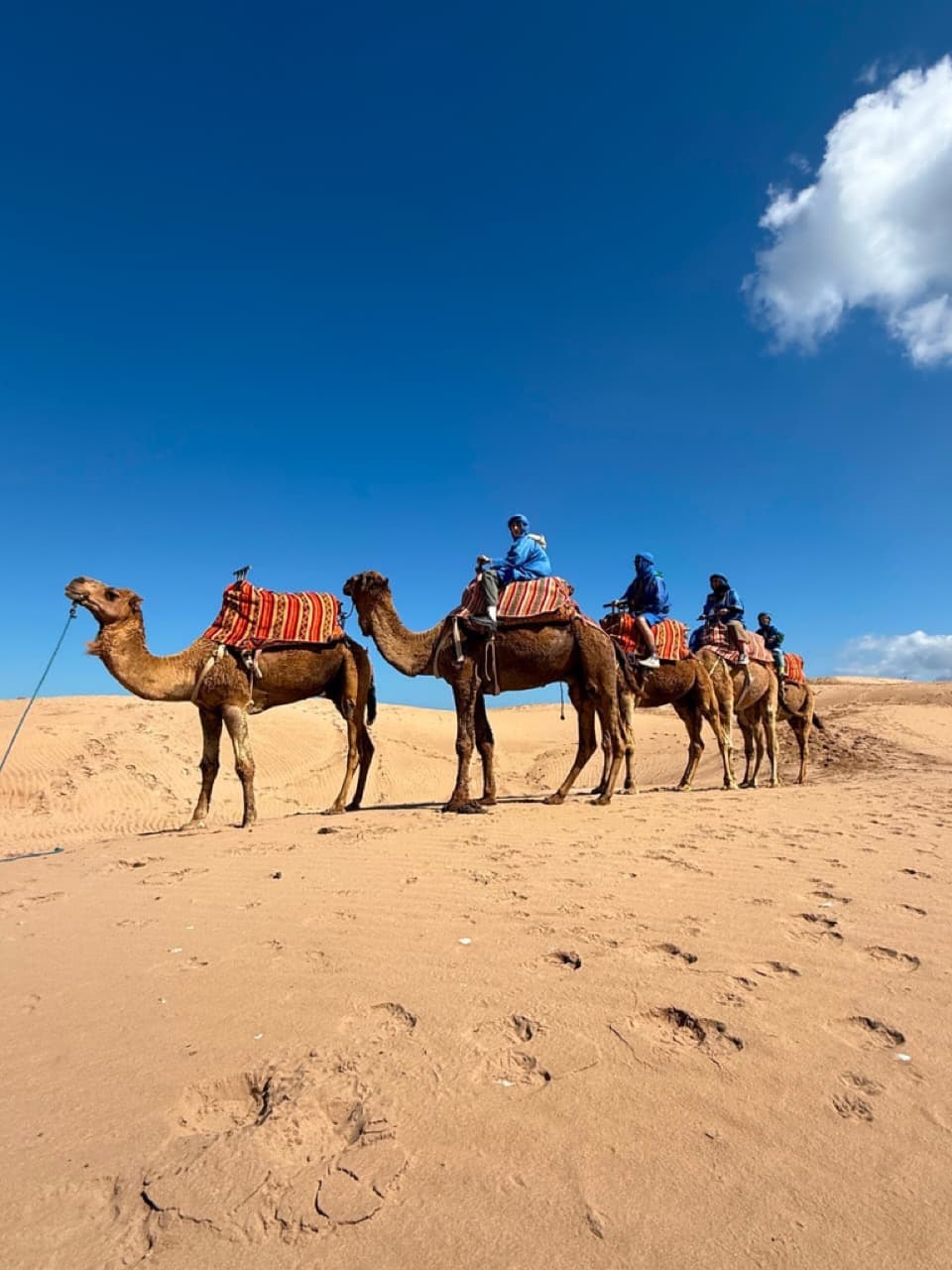 Journey into the Desert & Sahara