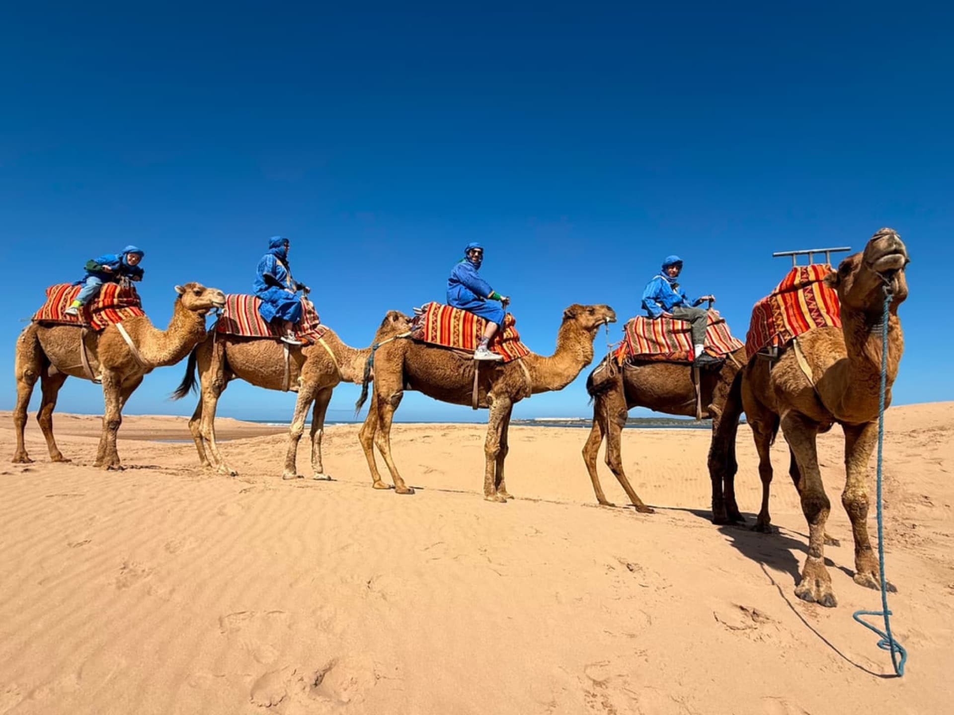 Journey into the Desert & Sahara